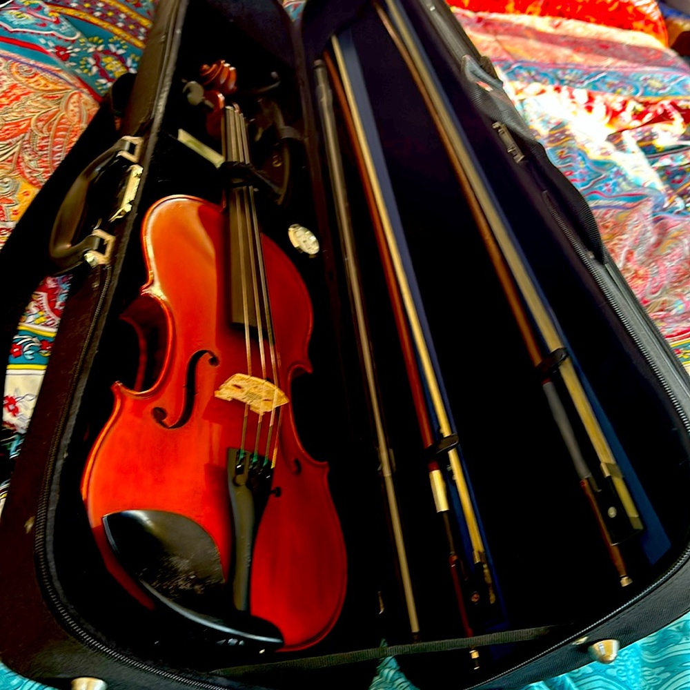 Violin 🎻 Carlo Lambertini